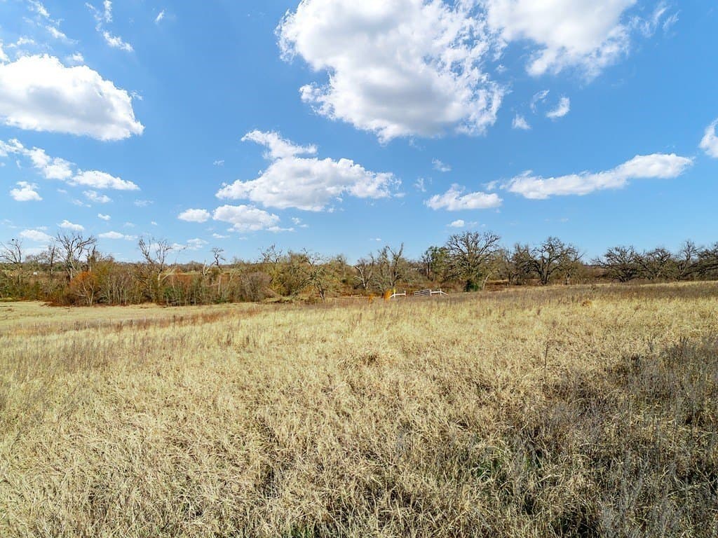 10 acres in Limestone County - photo 10