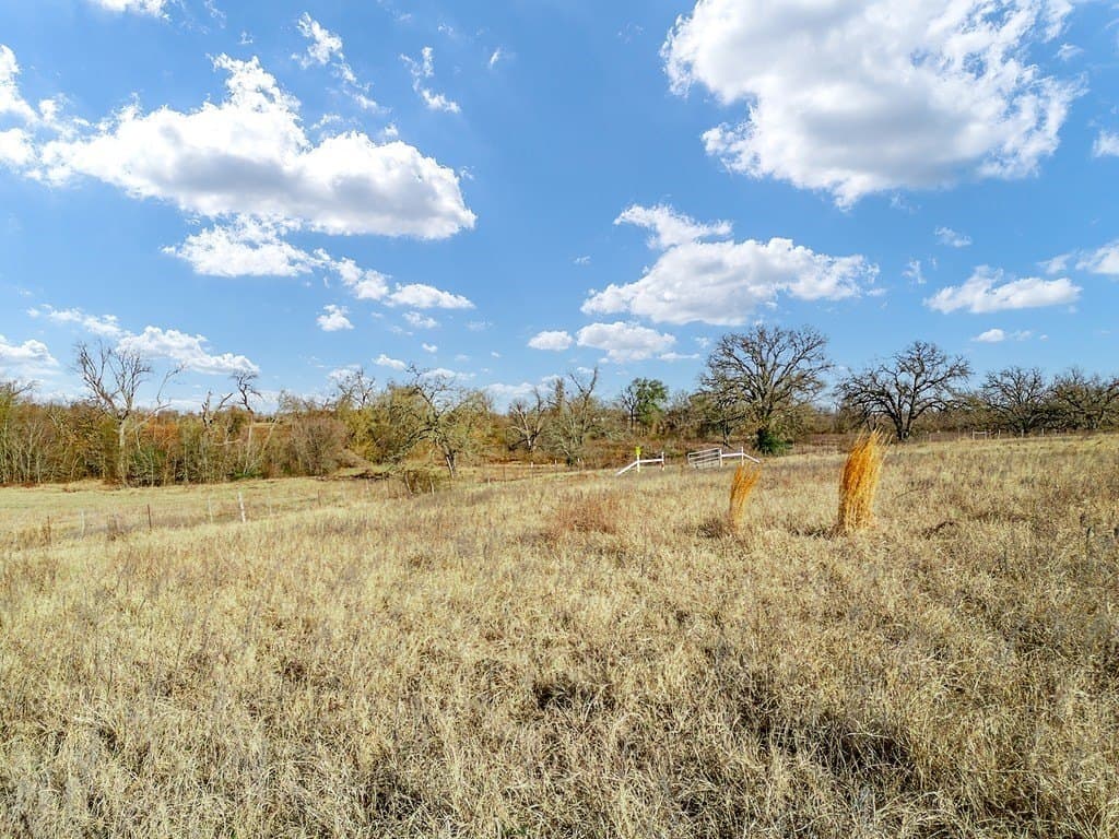 10 acres in Limestone County - photo 9