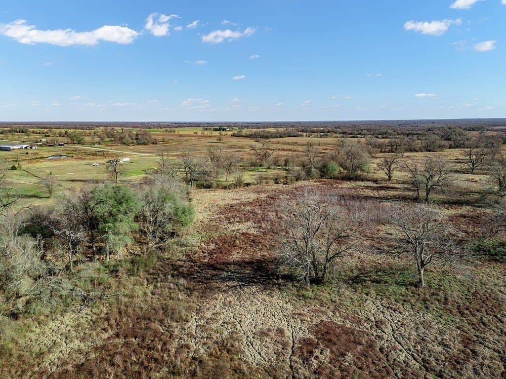 10 acres in Limestone County - photo 16