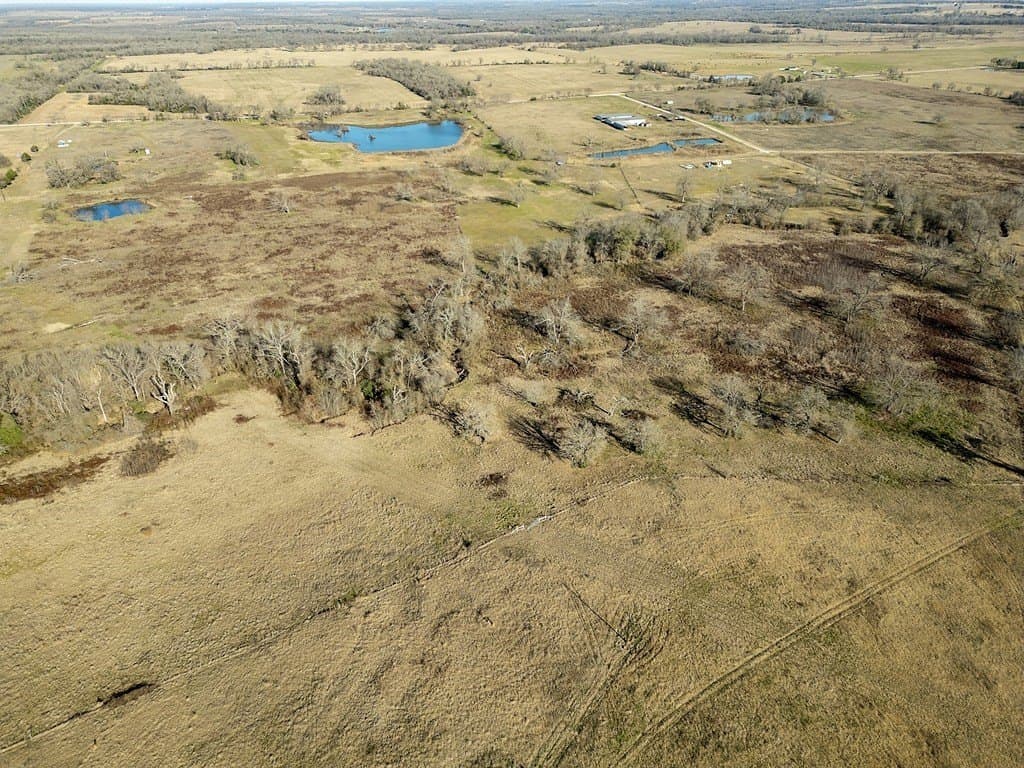 10 acres in Limestone County - photo 5