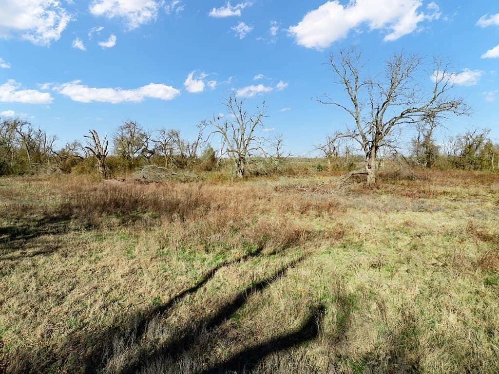 10 acres in Limestone County - photo 15