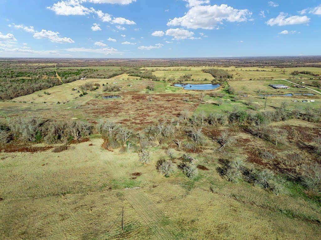 10 acres in Limestone County - photo 6