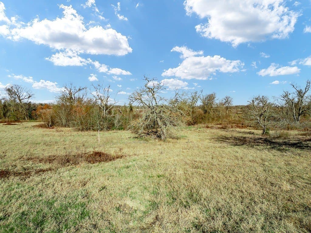 10 acres in Limestone County - photo 12