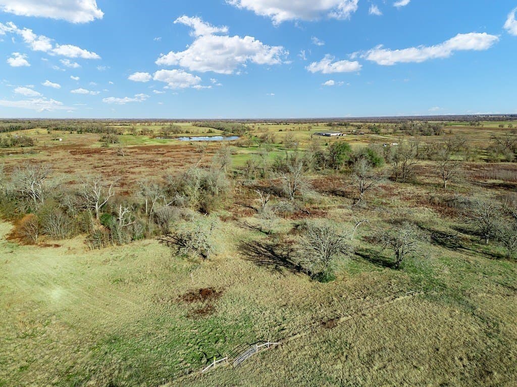 10 acres in Limestone County - photo 7