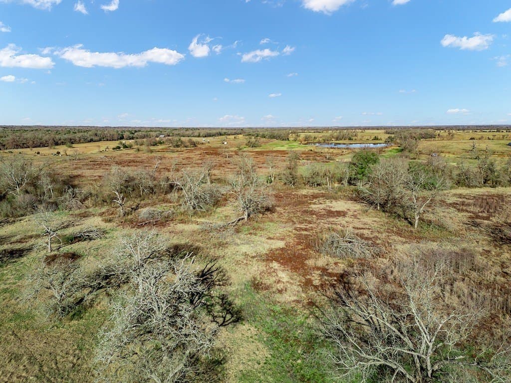 10 acres in Limestone County - photo 13
