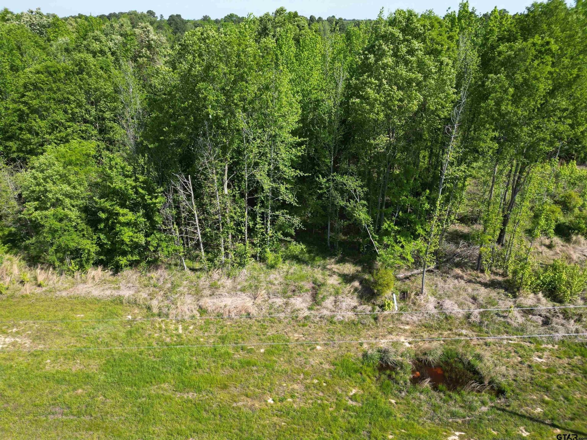 1 acres in Titus County - photo 2