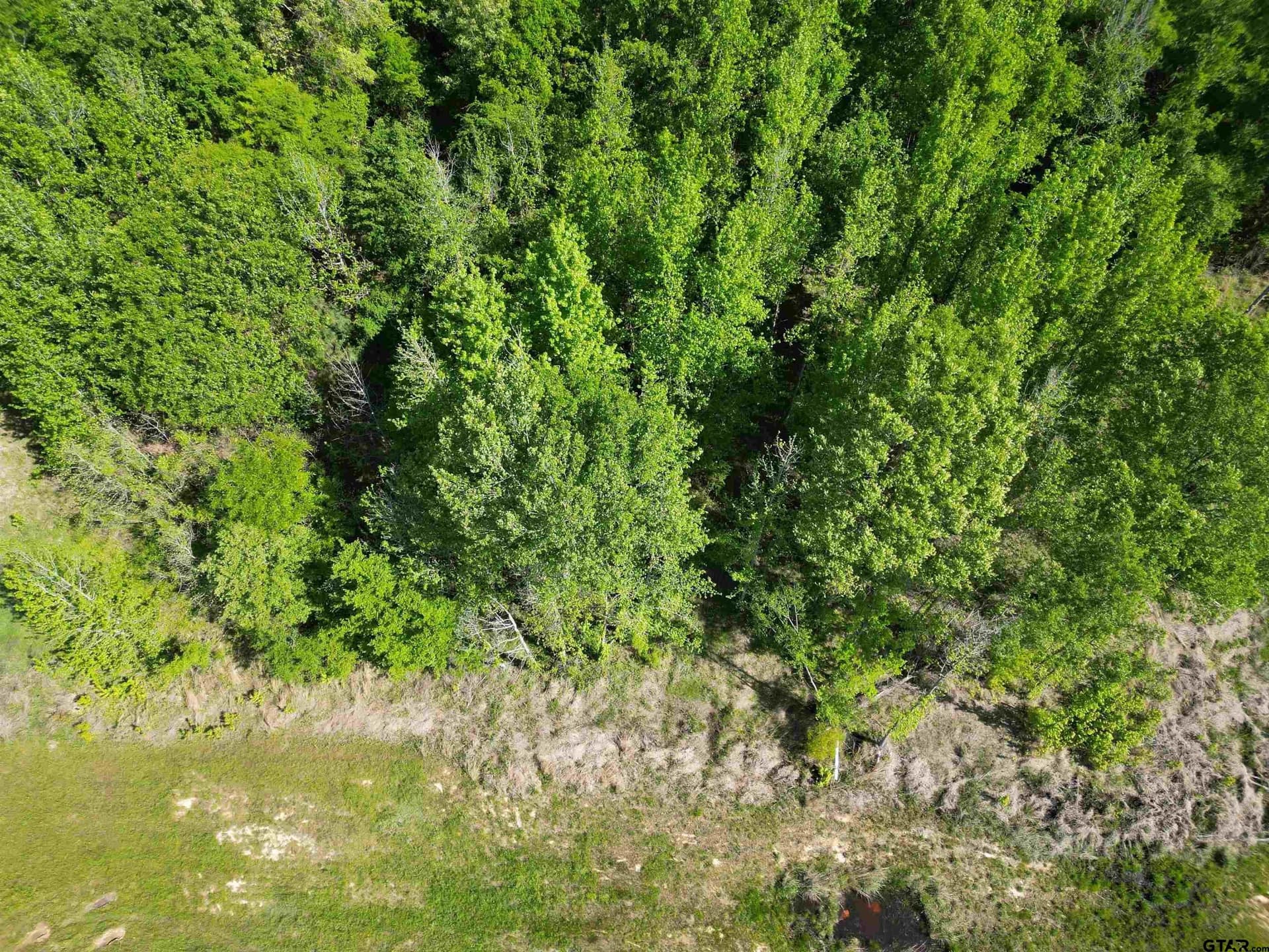 1 acres in Titus County - photo 3