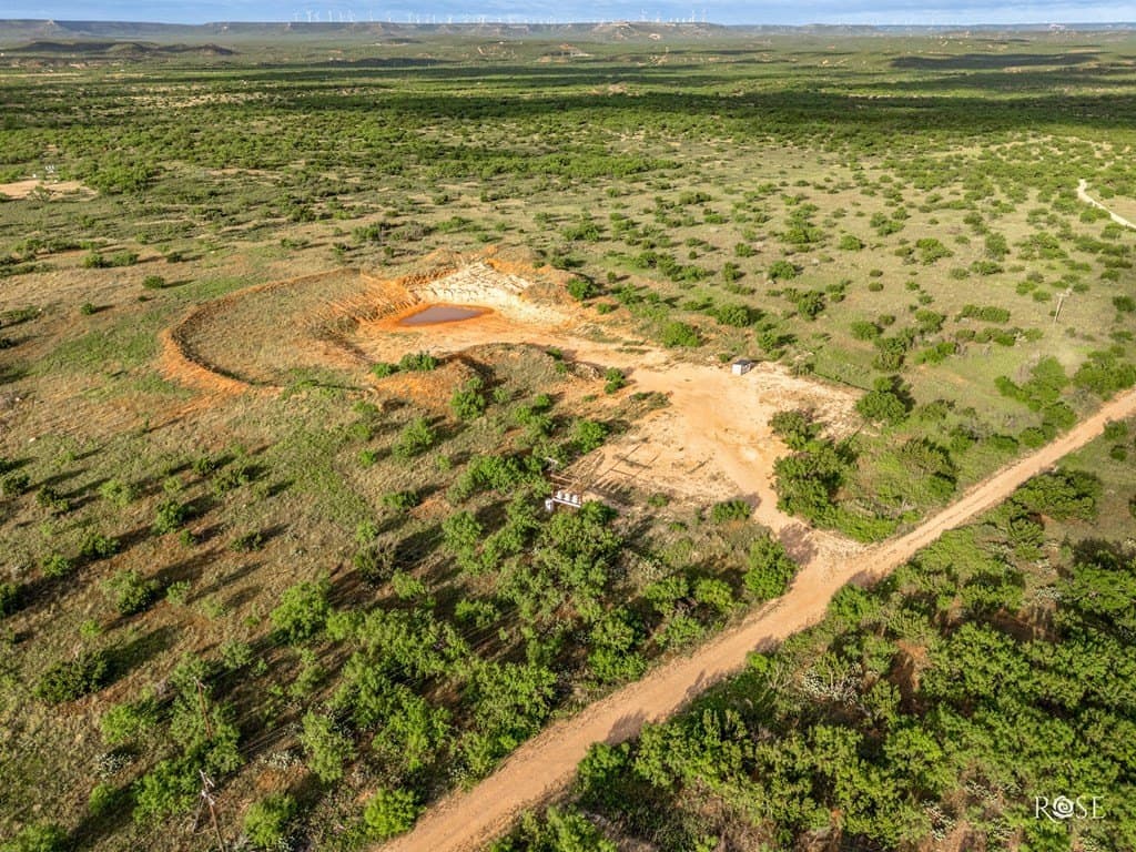 17.7 acres in Coke County - photo 10