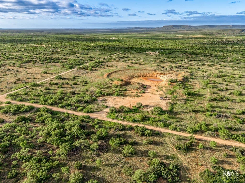 17.7 acres in Coke County - photo 3