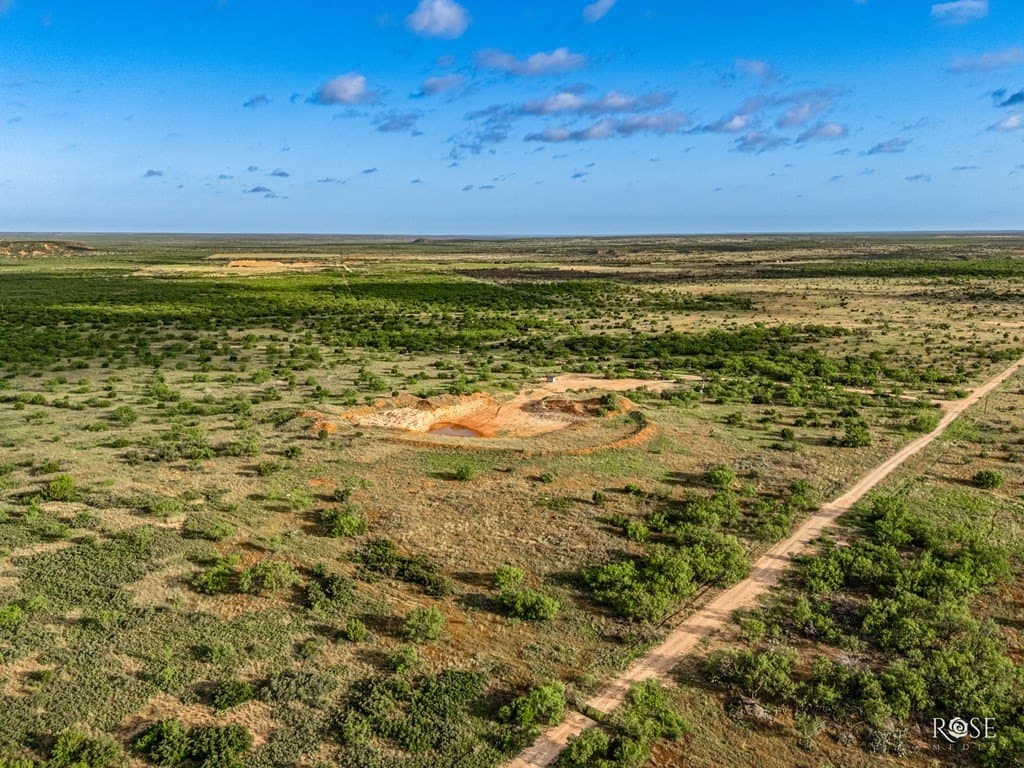 17.7 acres in Coke County - photo 5