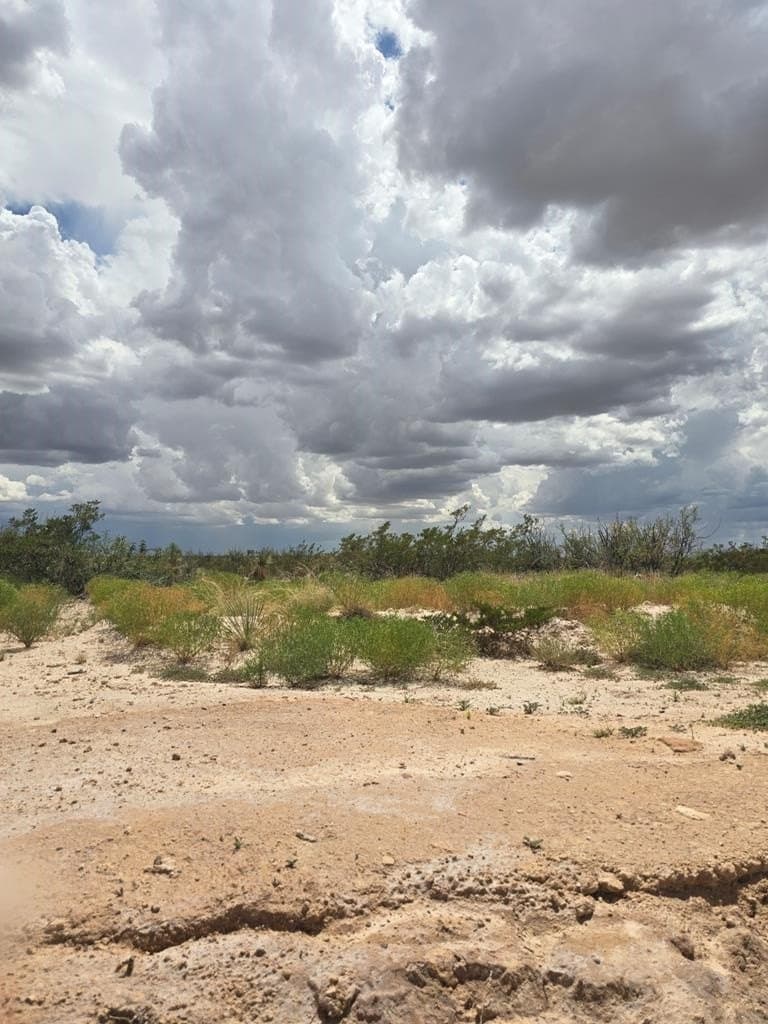 20 acres in Culberson County - photo 3