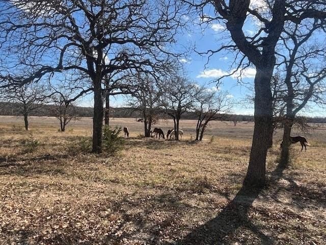 241.96 acres in Hamilton County - photo 24