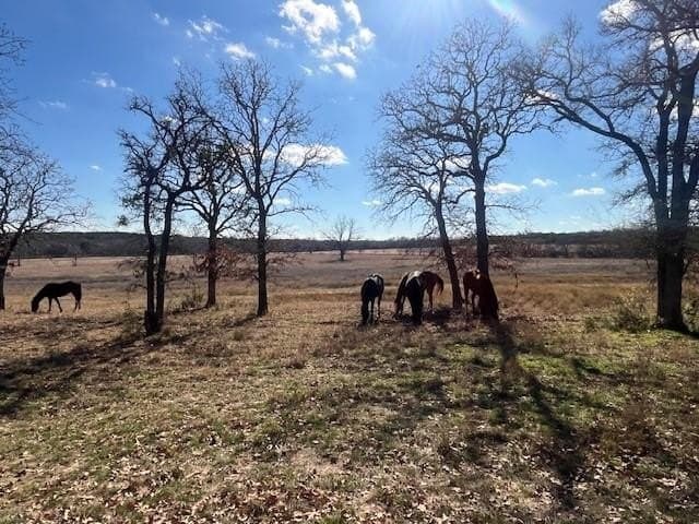 241.96 acres in Hamilton County - photo 25