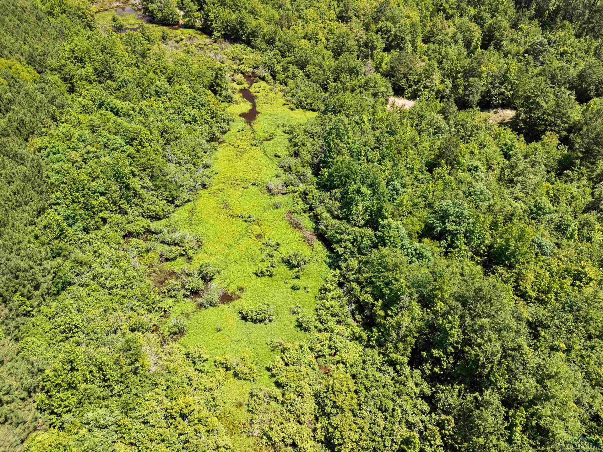 29.16 acres in Marion County - photo 11