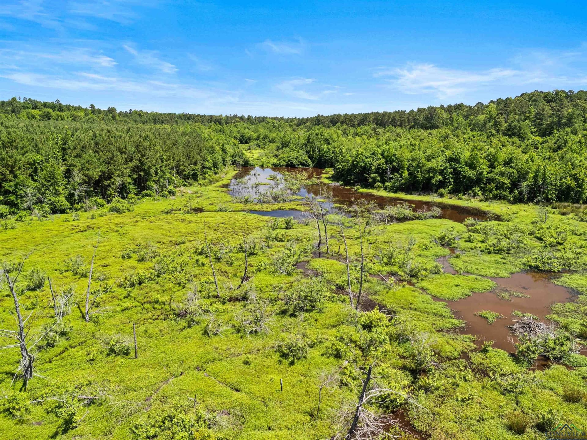 29.16 acres in Marion County - photo 15