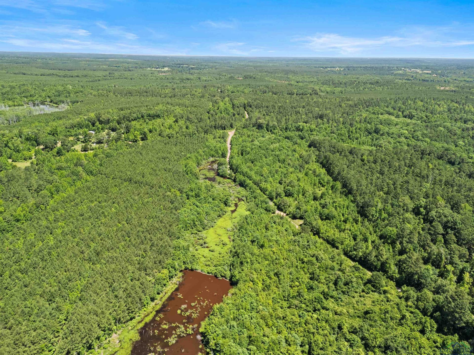 29.16 acres in Marion County - photo 14