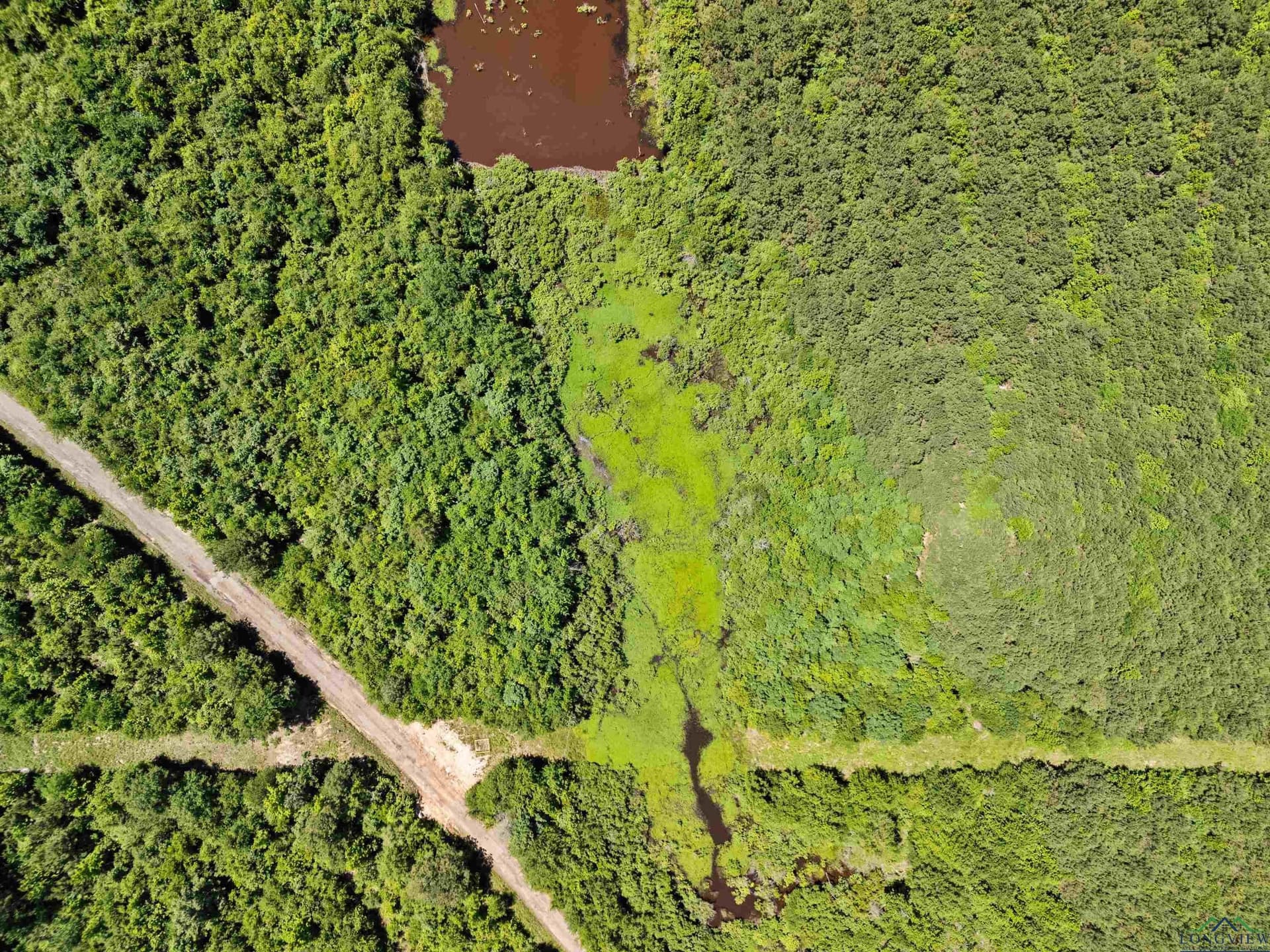 29.16 acres in Marion County - photo 19