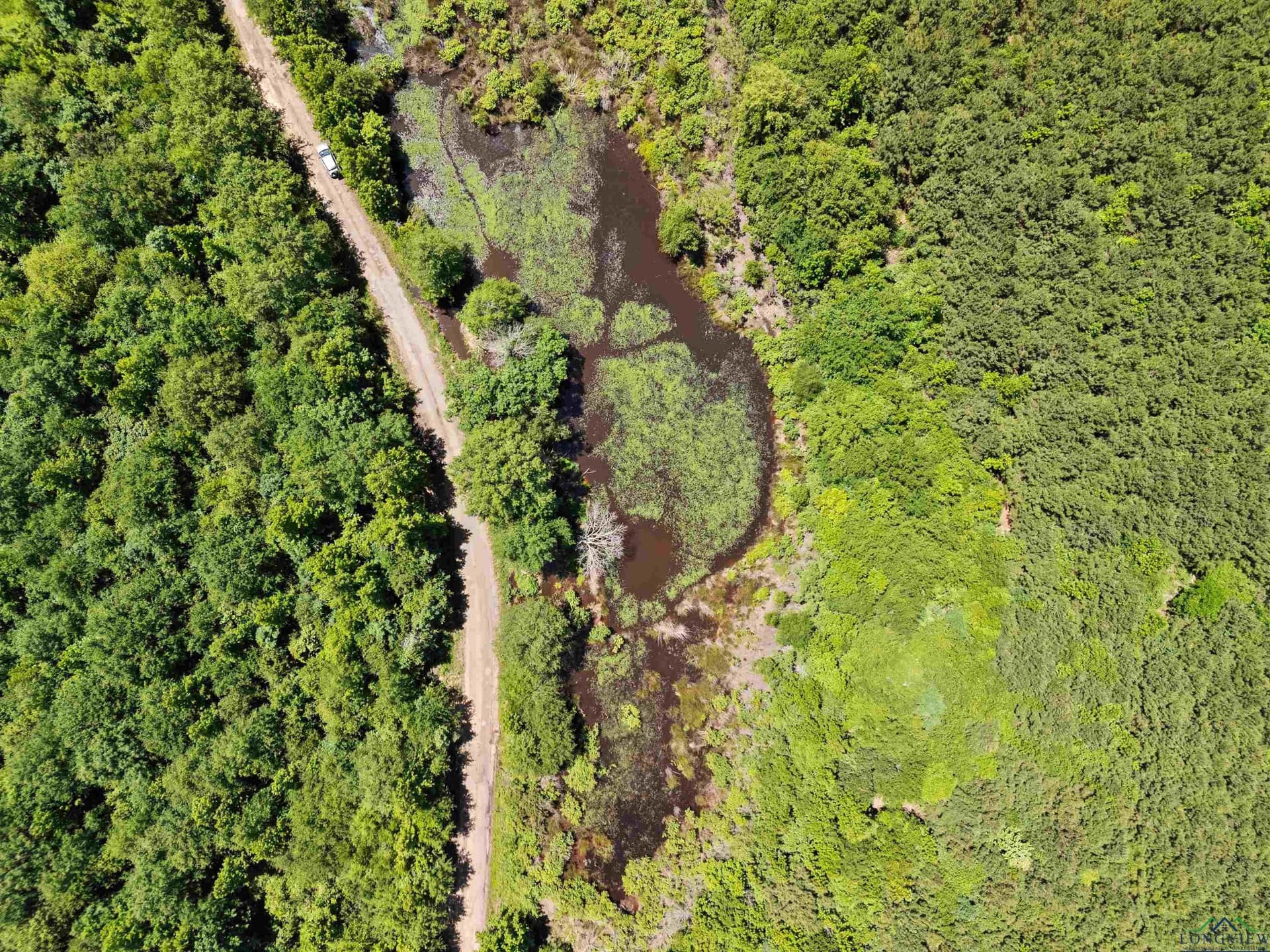 29.16 acres in Marion County - photo 8