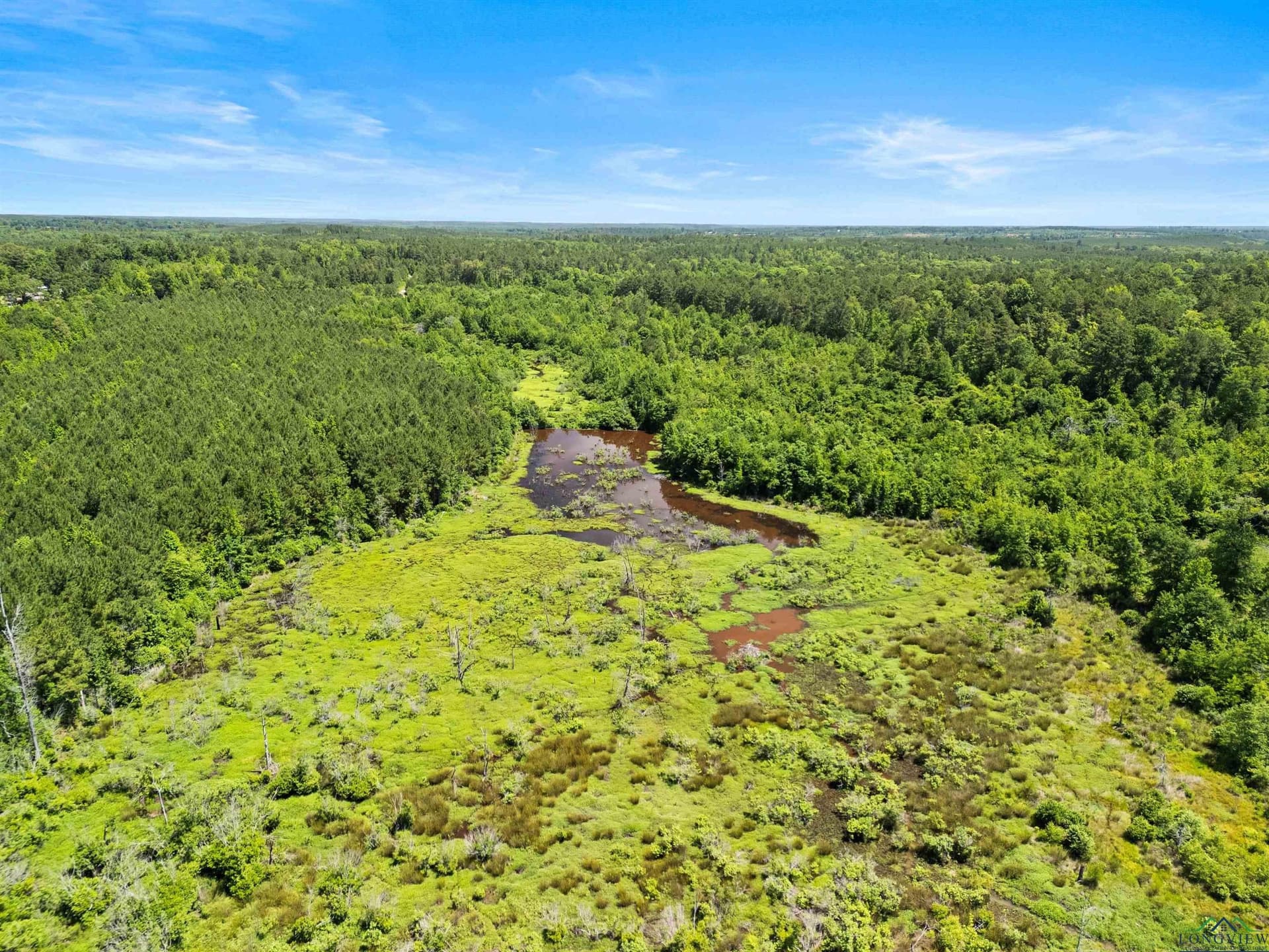 29.16 acres in Marion County - photo 4