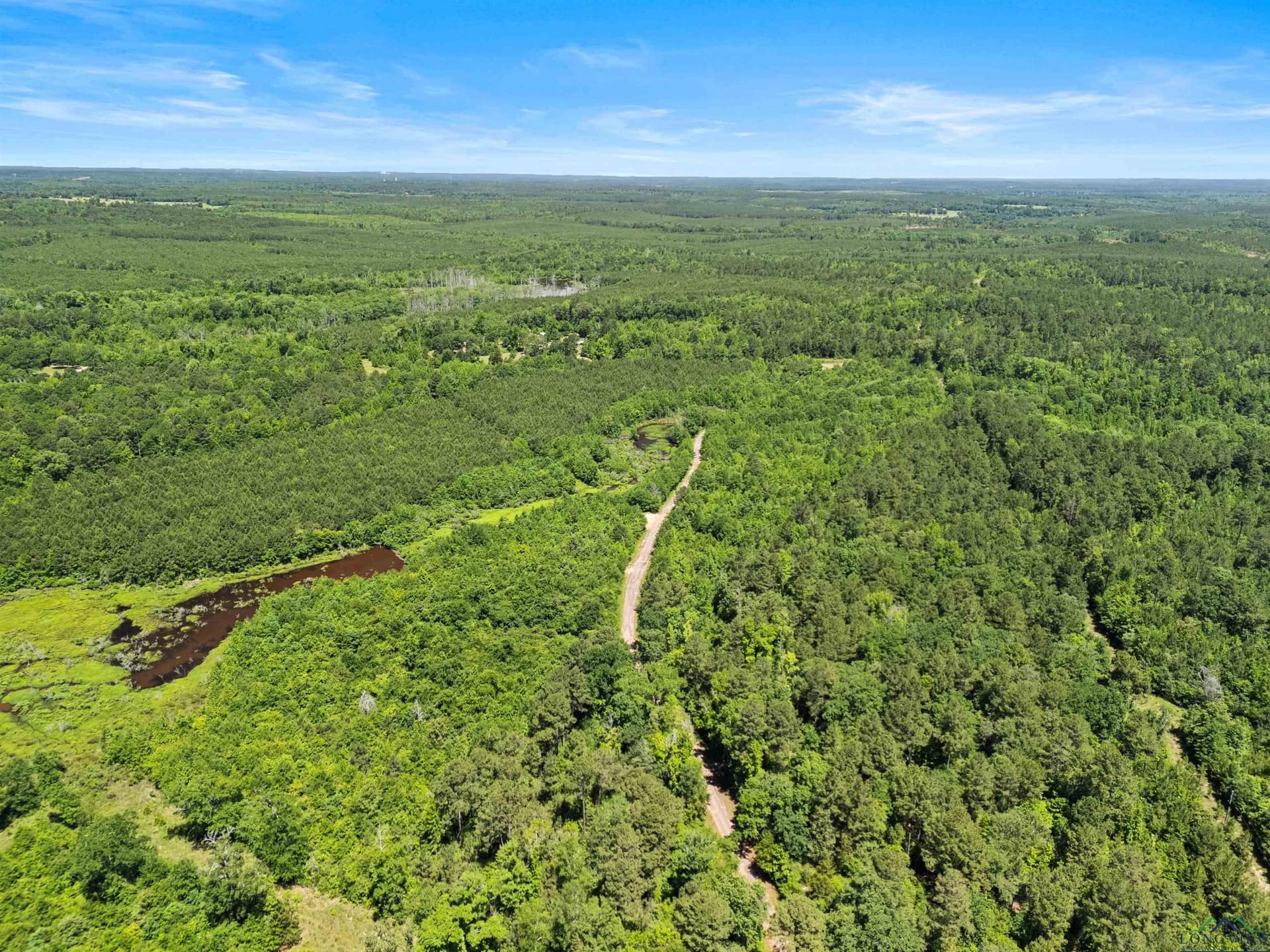 29.16 acres in Marion County - photo 10