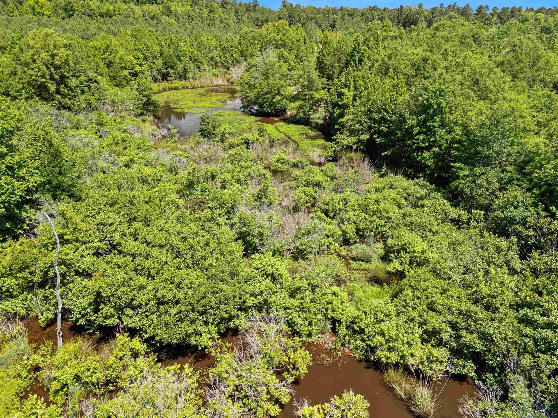 29.16 acres in Marion County - photo 22
