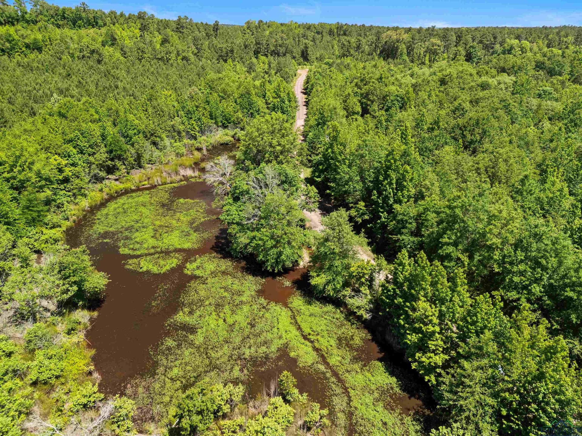 29.16 acres in Marion County - photo 23
