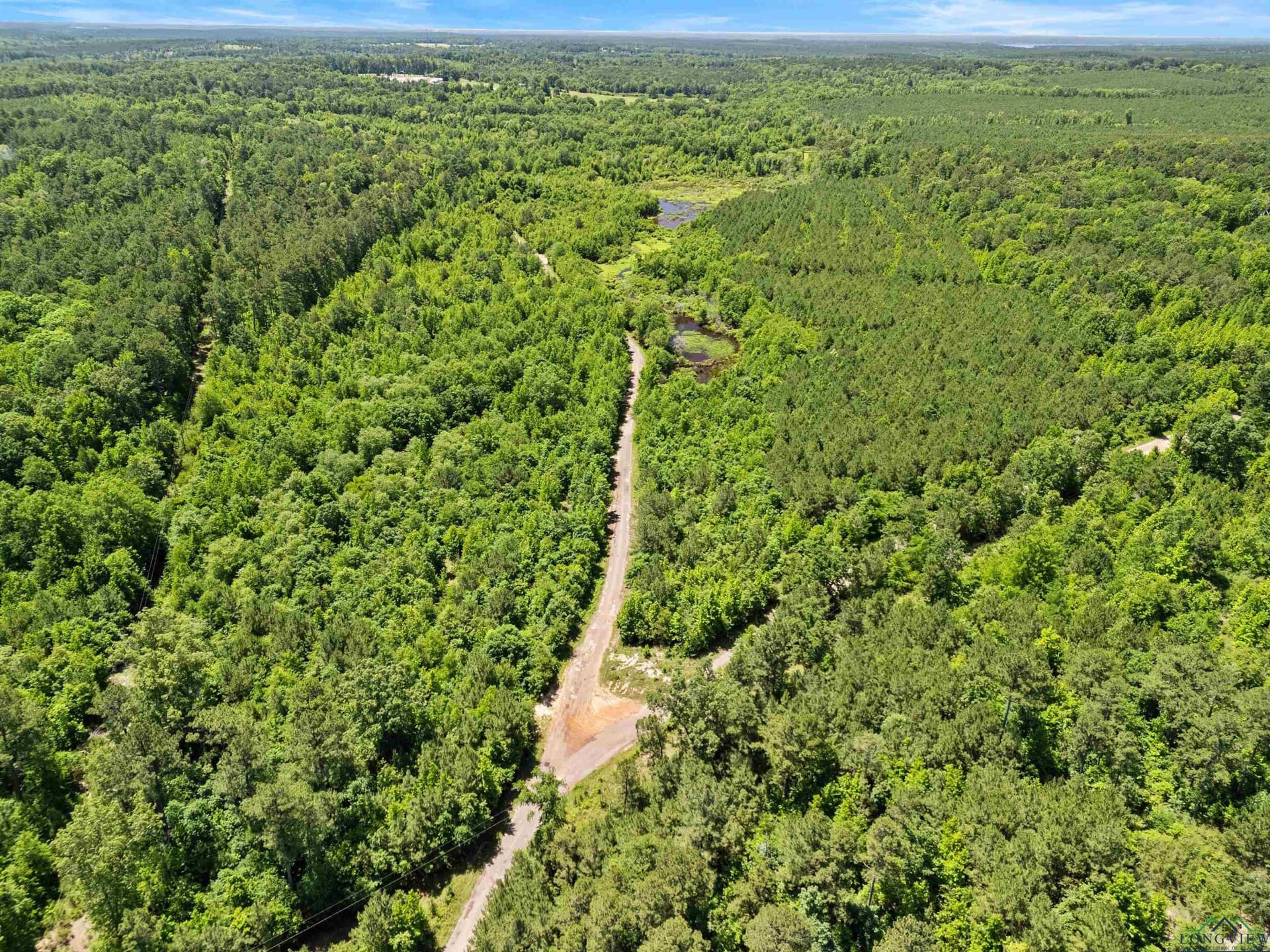 29.16 acres in Marion County - photo 2