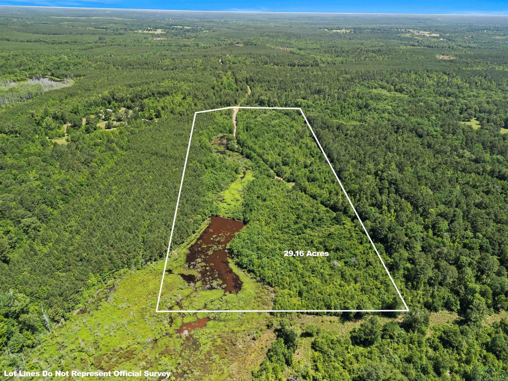 29.16 acres in Marion County - photo 5