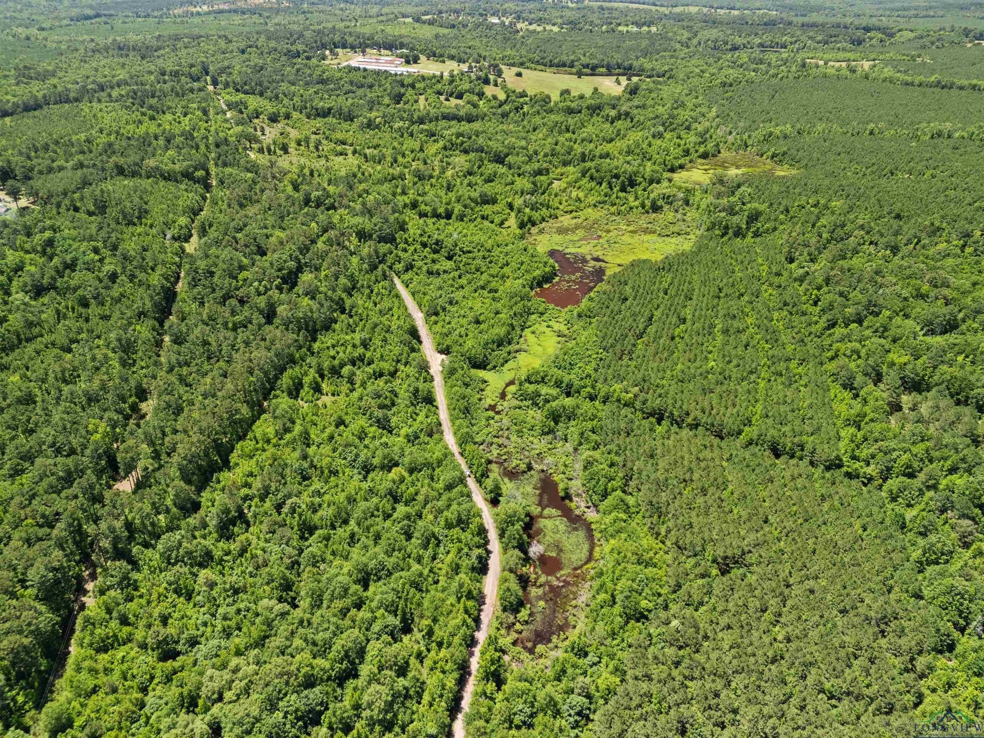 29.16 acres in Marion County - photo 7