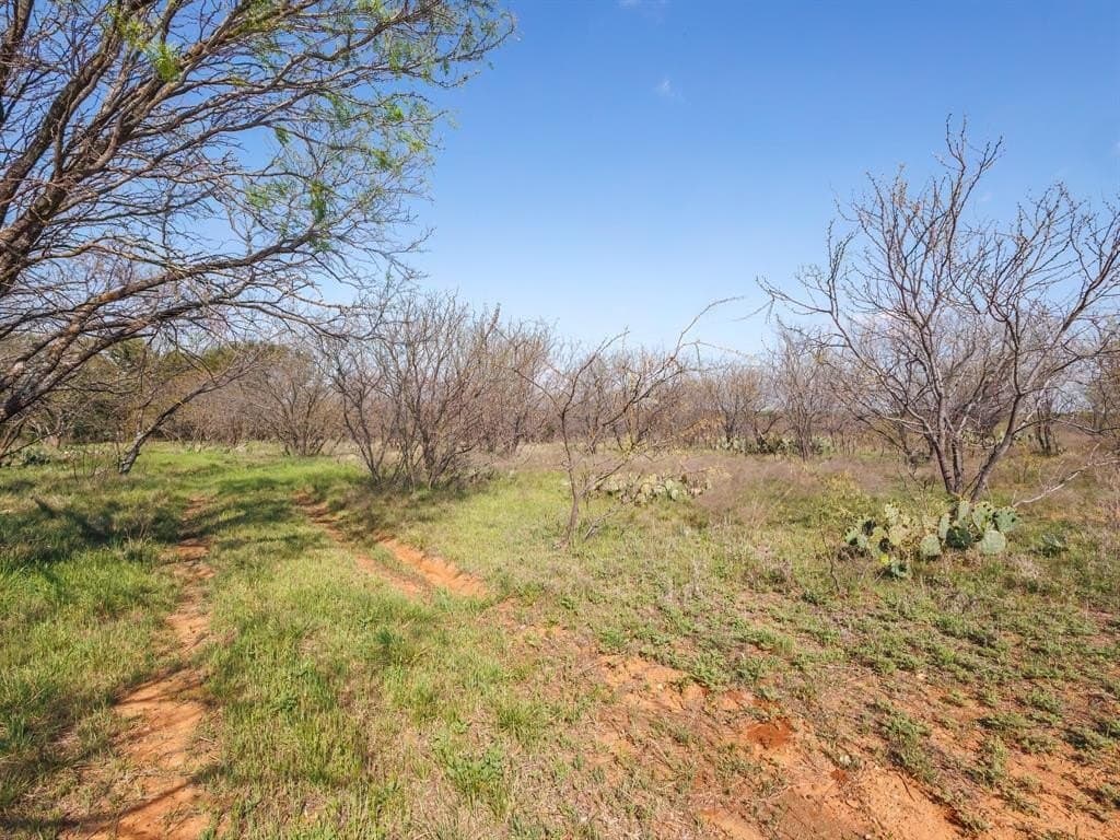 80 acres in Brown County - photo 7
