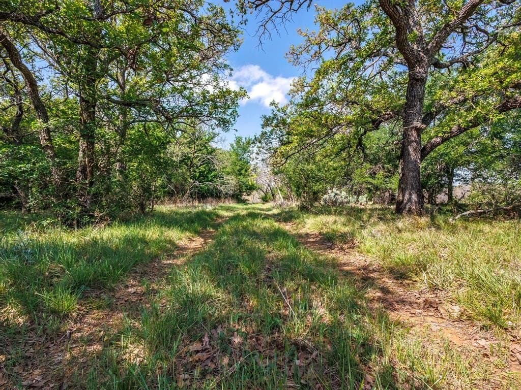 80 acres in Brown County - photo 12