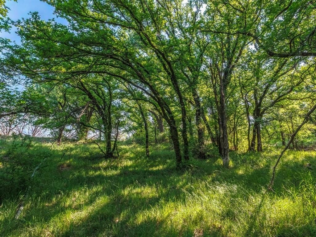 80 acres in Brown County - photo 8