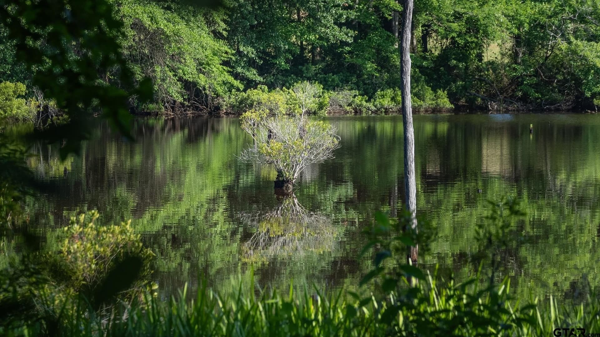 255 acres in Wood County - photo 42