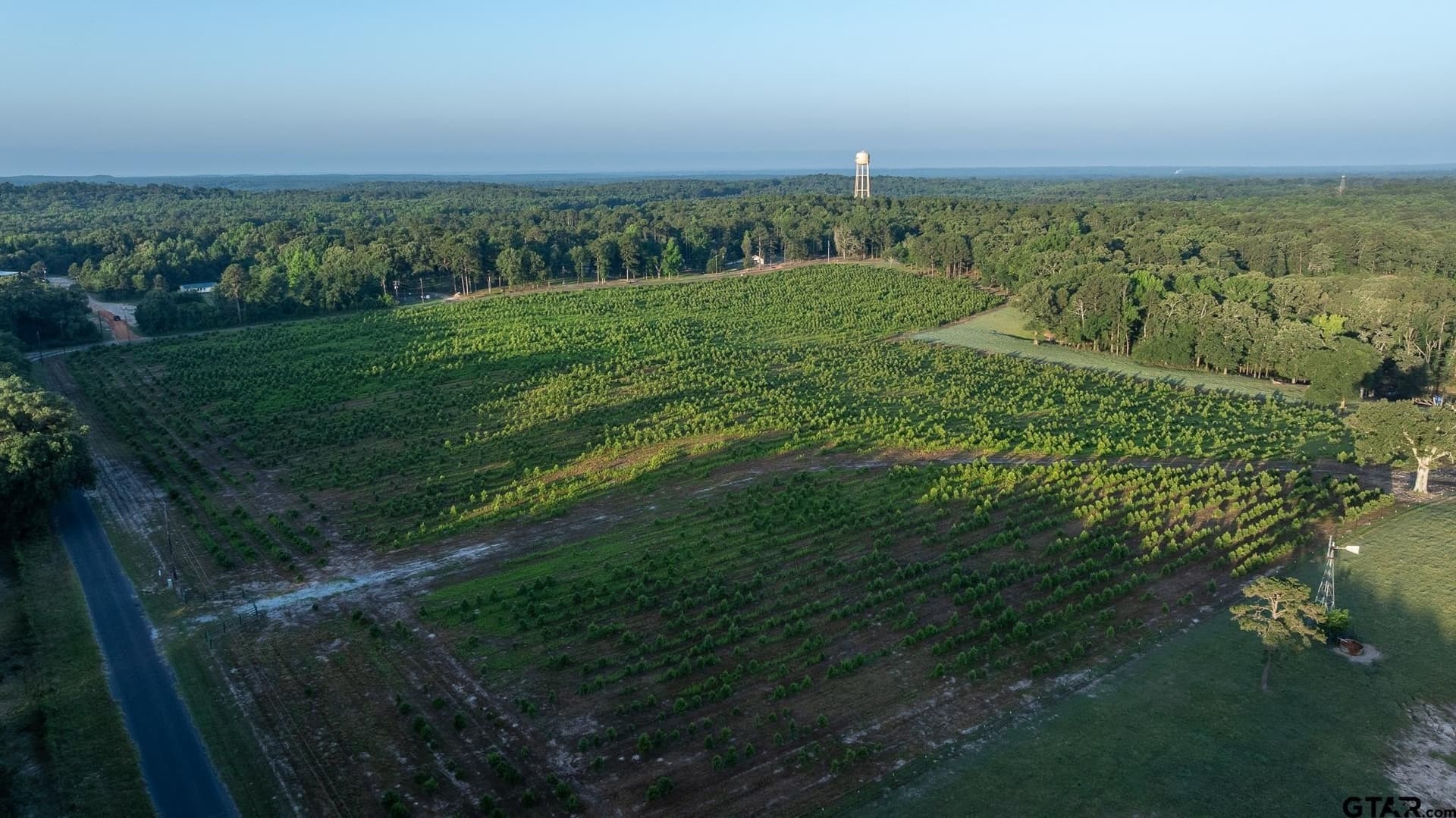 255 acres in Wood County - photo 34