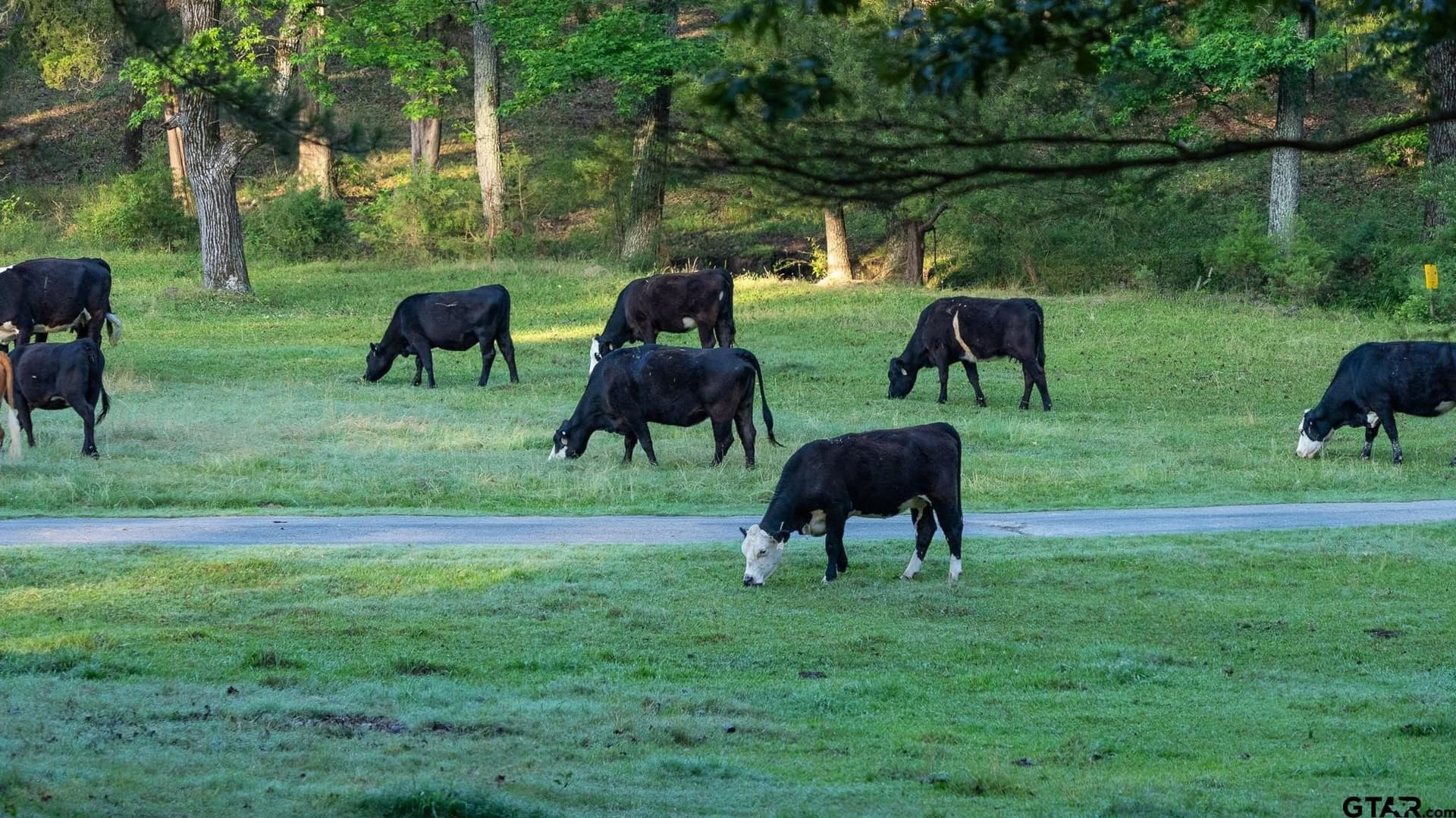 255 acres in Wood County - photo 31