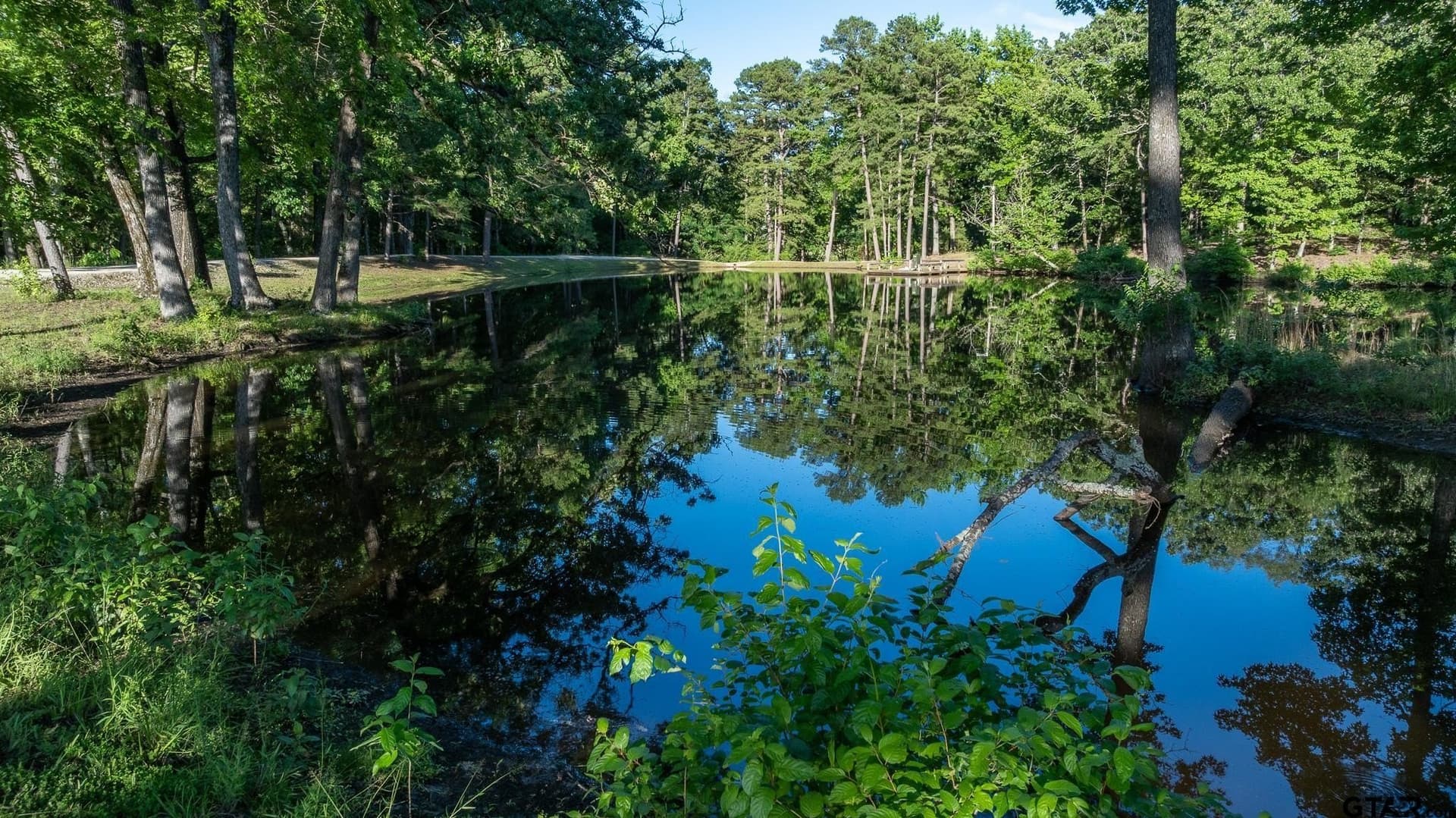 255 acres in Wood County - photo 33