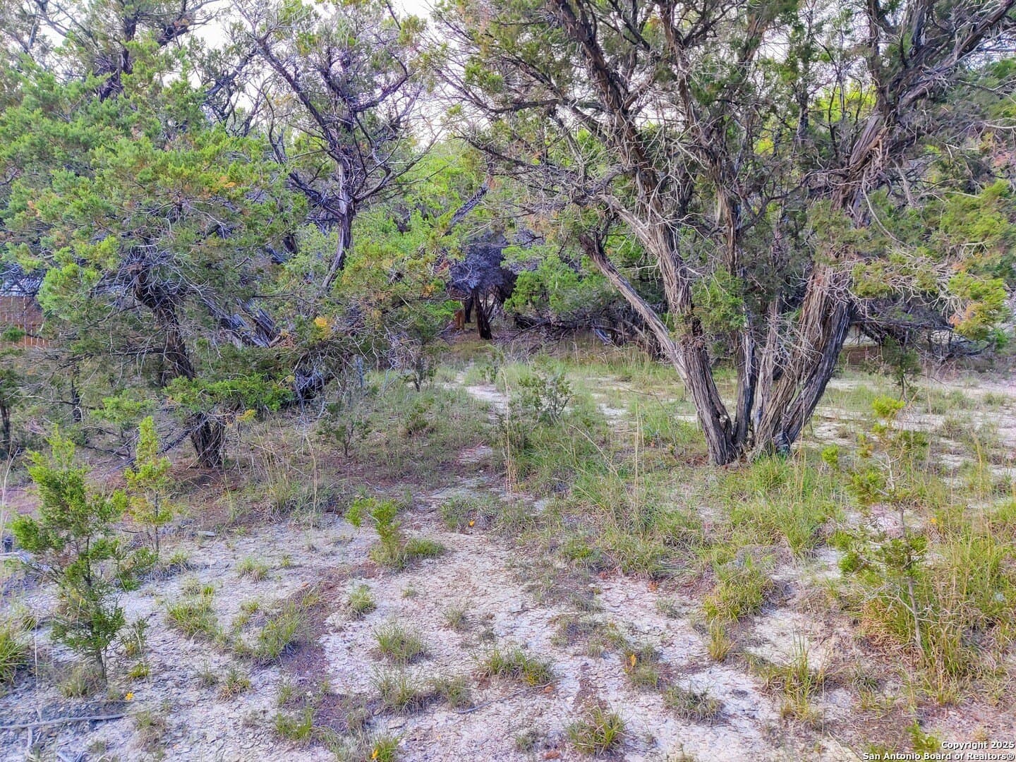0.12 acres in Bandera County - photo 10