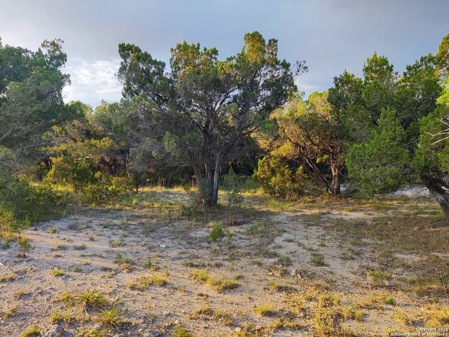 0.12 acres in Bandera County - photo 9