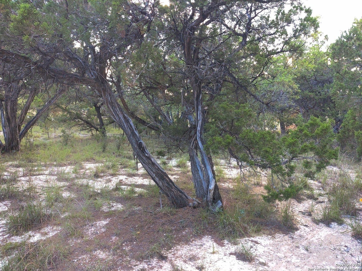 0.12 acres in Bandera County - photo 5