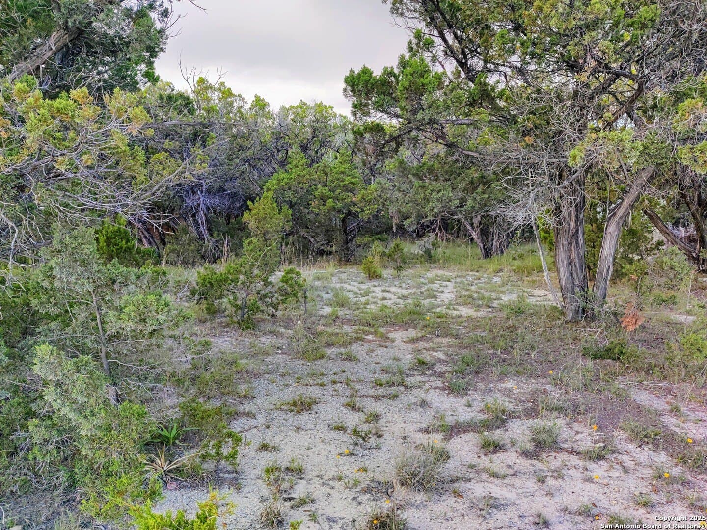 0.12 acres in Bandera County - photo 4