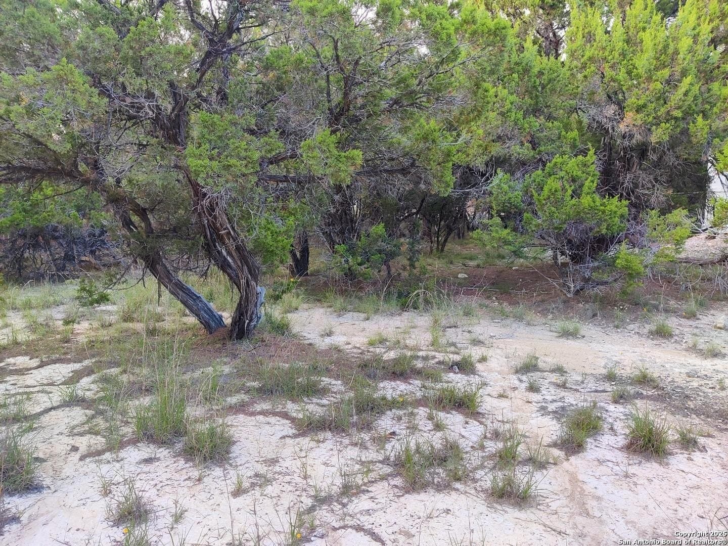 0.12 acres in Bandera County - photo 11