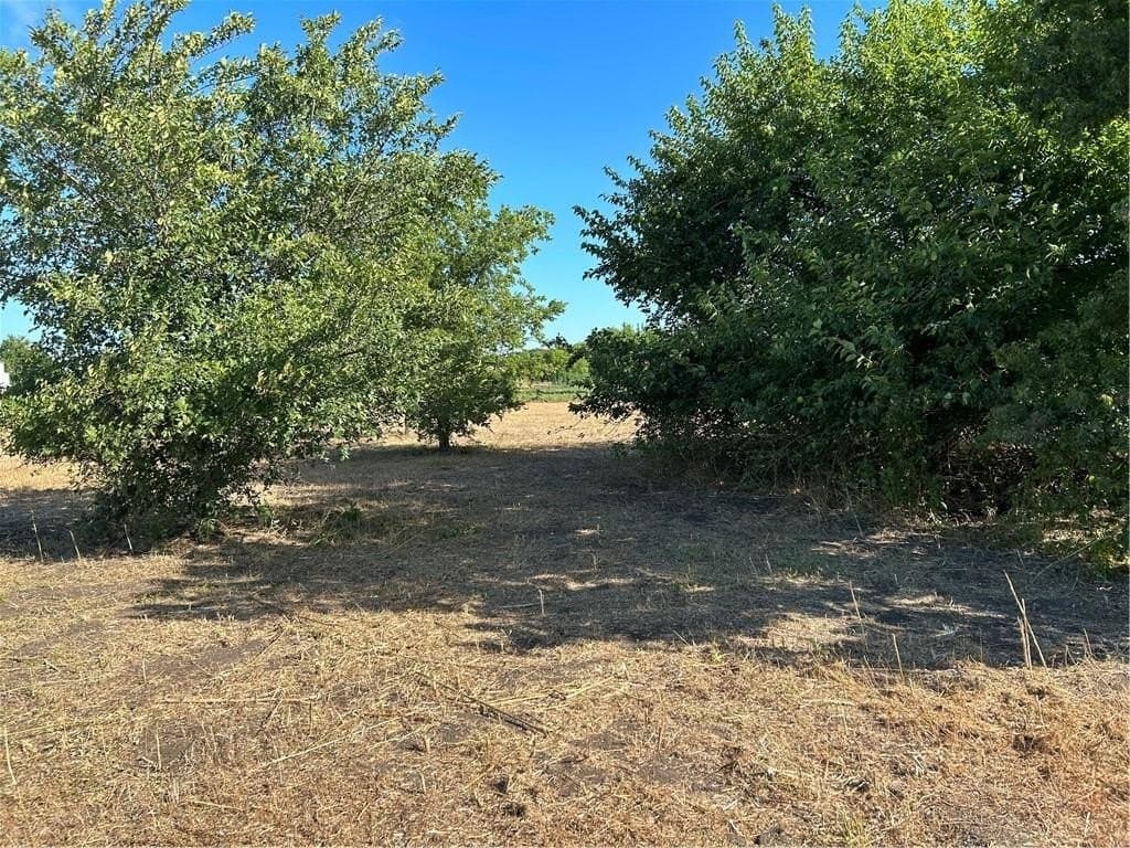 5 acres in McLennan County - photo 7