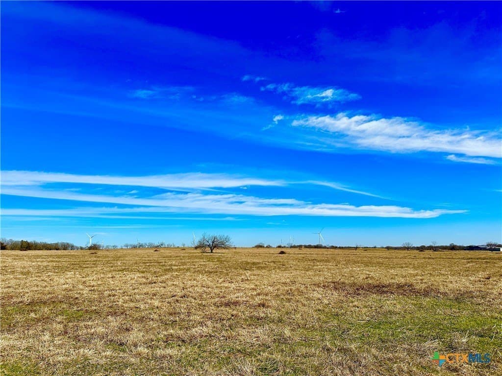 10 acres in Limestone County - photo 9