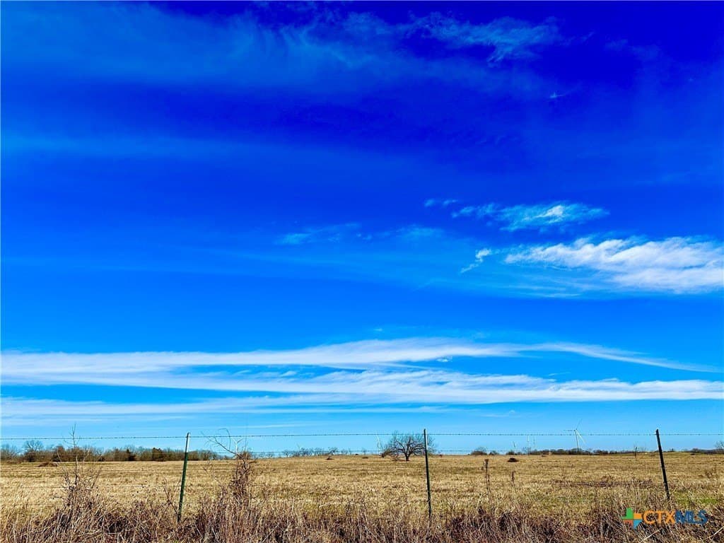 10 acres in Limestone County - photo 7
