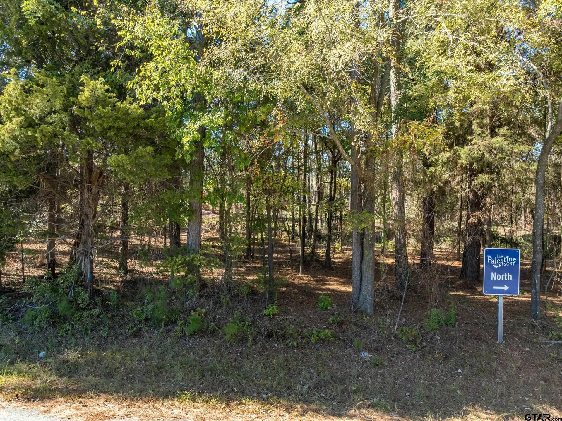 1.17 acres in Smith County - photo 12