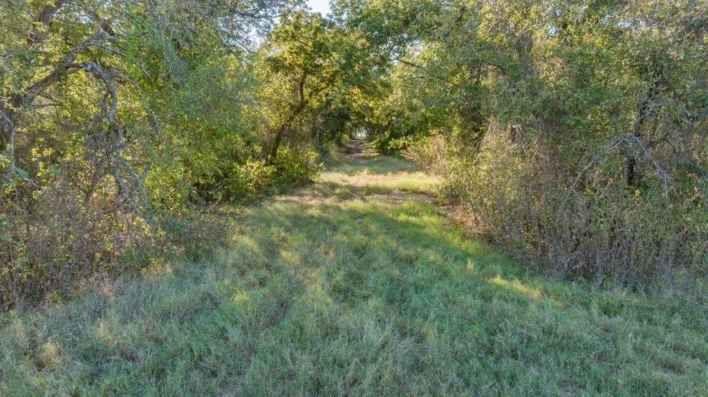 96.5 acres in Hill County - photo 5