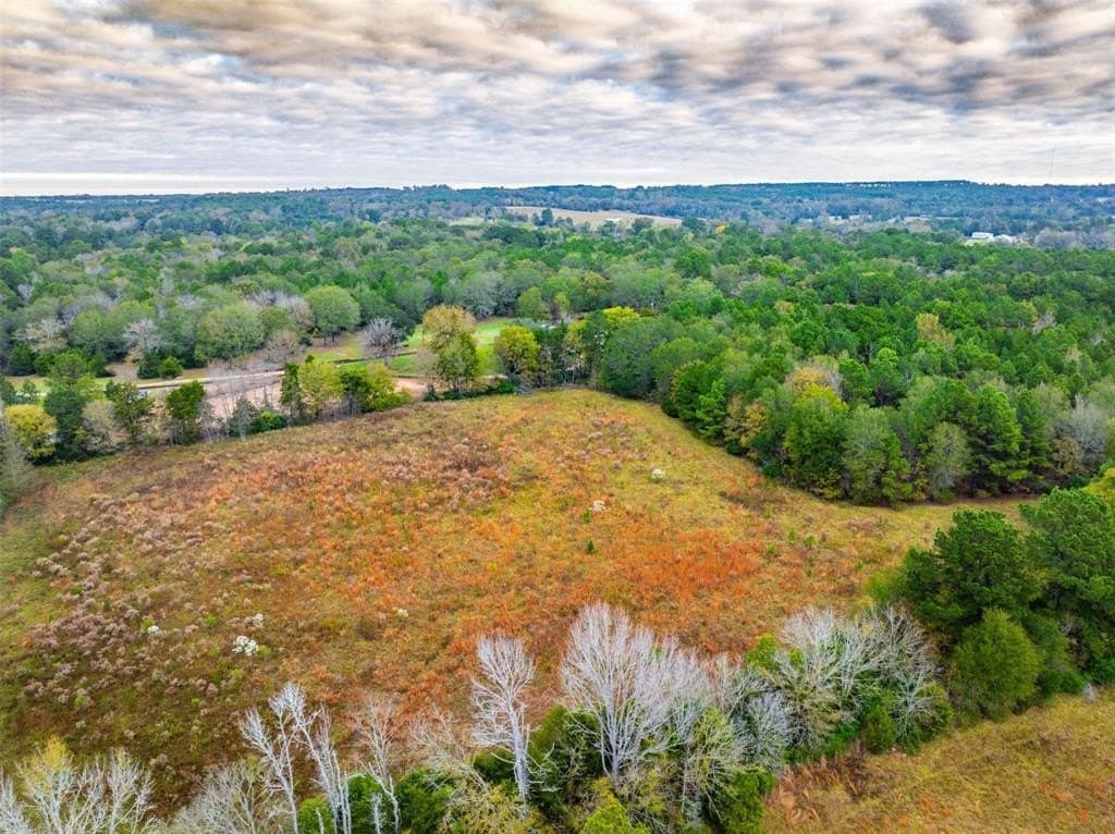29.73 acres in Anderson County - photo 15