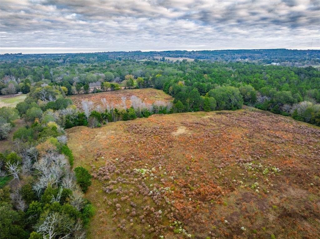 29.73 acres in Anderson County - photo 14