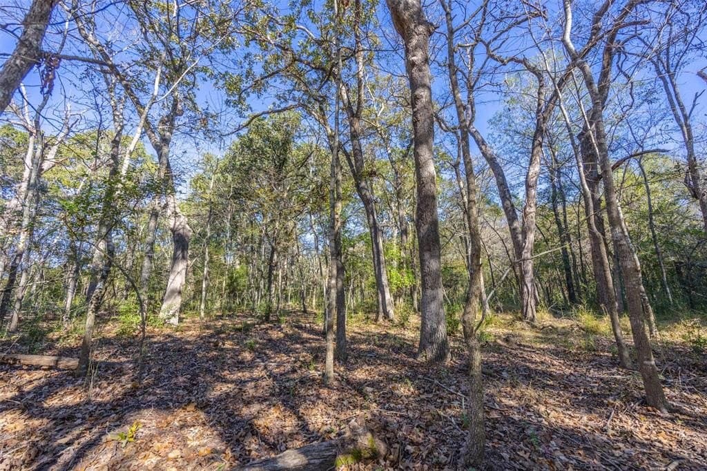 29.73 acres in Anderson County - photo 4