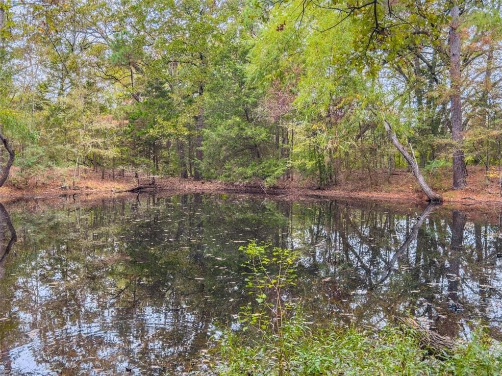 29.73 acres in Anderson County - photo 7